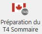 ico t4s