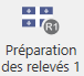 ico r1