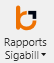 rapport sigabill icone